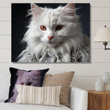 Selkirk Rex Cat Sophistication - Cat Bedroom Wall Art