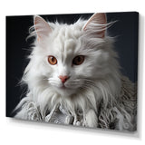 Selkirk Rex Cat Sophistication - Cat Bedroom Wall Art