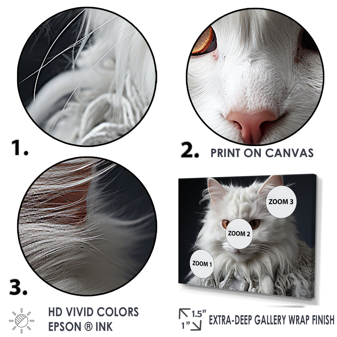 Selkirk Rex Cat Sophistication - Cat Bedroom Wall Art