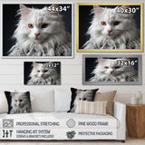 Selkirk Rex Cat Sophistication - Cat Bedroom Wall Art