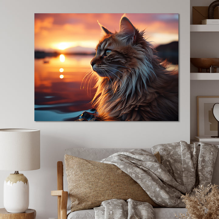 Solitude Cat In Sunset - Cat Wall Art Prints