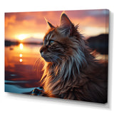 Solitude Cat In Sunset - Cat Wall Art Prints