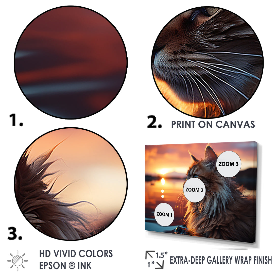 Solitude Cat In Sunset - Cat Wall Art Prints