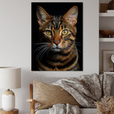 Cat Toyger Tigress Portrait - Brown Cat Wall Art