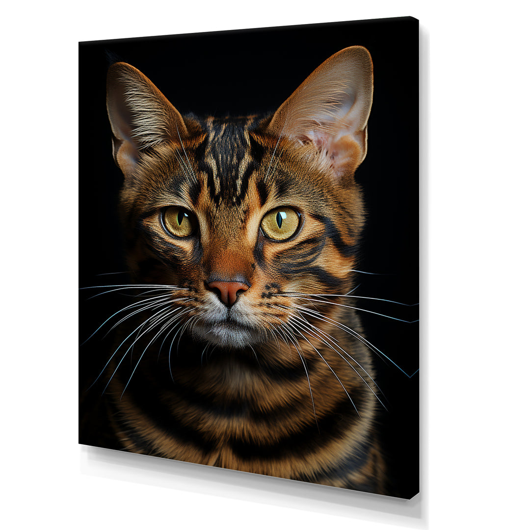 Cat Toyger Tigress Portrait - Brown Cat Wall Art