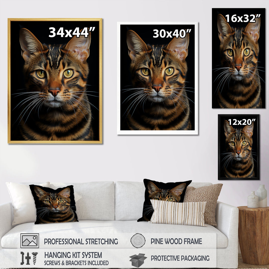 Cat Toyger Tigress Portrait - Brown Cat Wall Art