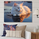 Cat Tranquility On Beach - Cat Framed Canvas Art