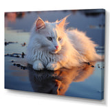 Cat Tranquility On Beach - Cat Framed Canvas Art