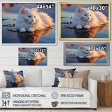 Cat Tranquility On Beach - Cat Framed Canvas Art