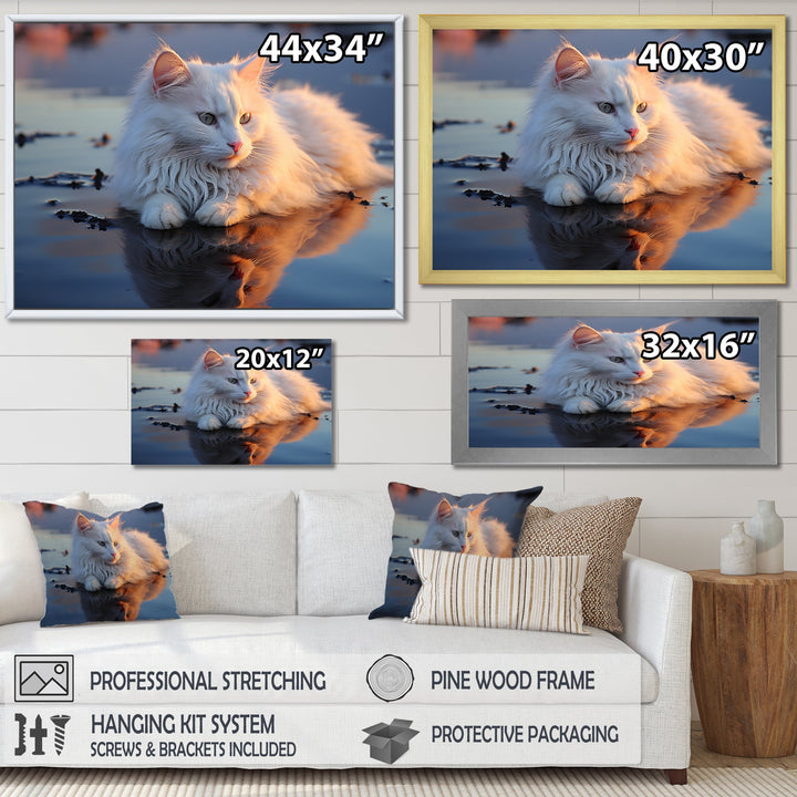 Cat Tranquility On Beach - Cat Framed Canvas Art