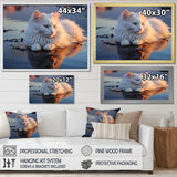 Cat Tranquility On Beach - Cat Framed Canvas Art