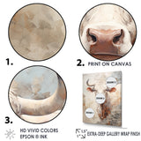 Handsome Beige Cattle Portrait - Cattle Large Canvas Wall Art