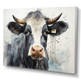 Handsome Black Adn White Cattle Portrait - Cattle Bedroom Wall Art