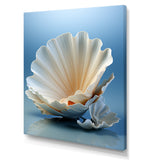 Monochromatic Misty Grey Clam - Gray Clam Wall Art