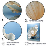 Monochromatic Misty Grey Clam - Gray Clam Wall Art