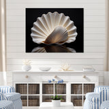 Monochrome Clam Deep Charcoal Ocean - White Clam Wall Art