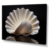 Monochrome Clam Deep Charcoal Ocean - White Clam Wall Art