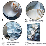 White Blue Tones Delicate Oyster Beauty - Clam Canvas Wall Art