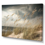 Coastal Beach Grass Tranquility - Coastal Canvas Wall Art