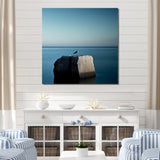 Coastal Seagull Scenery Minimalism - Coastal Animal Living Room Wall Art