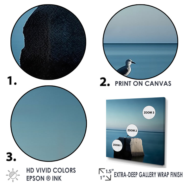 Coastal Seagull Scenery Minimalism - Coastal Animal Living Room Wall Art