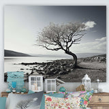 Beautiful Tree Black And White Lake Photography - Cottage Canvas Wall Art