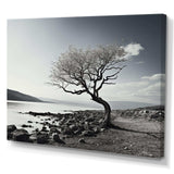 Beautiful Tree Black And White Lake Photography - Cottage Canvas Wall Art