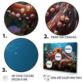 The Graceful Octopus - Octopus Large Canvas Wall Art