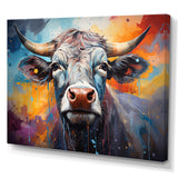 Celestial Colorful Cattle - Cow Bedroom Wall Art
