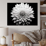 Dahlia In Monochrome Black And White - Floral Canvas Wall Art