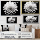 Dahlia In Monochrome Black And White - Floral Canvas Wall Art