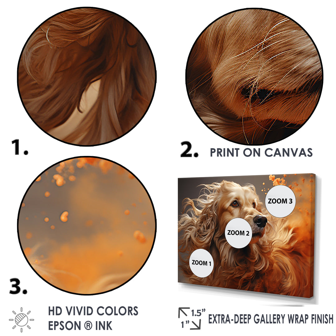 Dog Afghan Hound Air - Dog Bedroom Wall Art