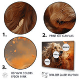 Dog Afghan Hound Air - Dog Bedroom Wall Art
