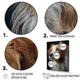 Borzoi Beauty - Dog Canvas Wall Art