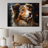 Collie Contemplation - Dog Wall Decor
