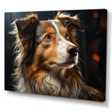 Collie Contemplation - Dog Wall Decor
