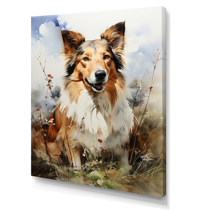 Collie Countryside - Dog Wall Art Prints