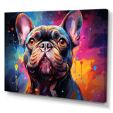 Dog French Bulldog Fiesta IV - Animals Canvas Wall Art