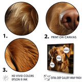 Dog Golden Grace - Brown Dog Wall Art