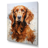 Dog Irish Setter Impressions - Dog Living Room Wall Art