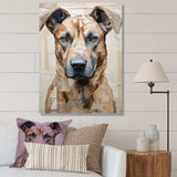 Belgian Malinois Handsome Portrait - Animals Canvas Wall Art