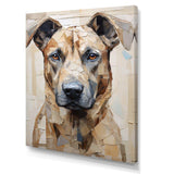 Belgian Malinois Handsome Portrait - Animals Canvas Wall Art