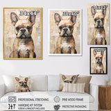 Boston Terrier Playful Portrait - Dog Wall Decor
