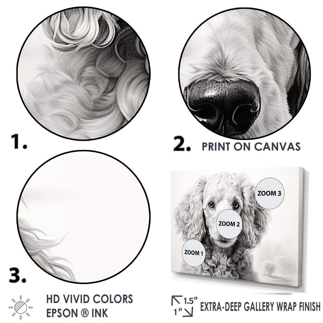 Poodle Pizazz - Dog Wall Art Prints