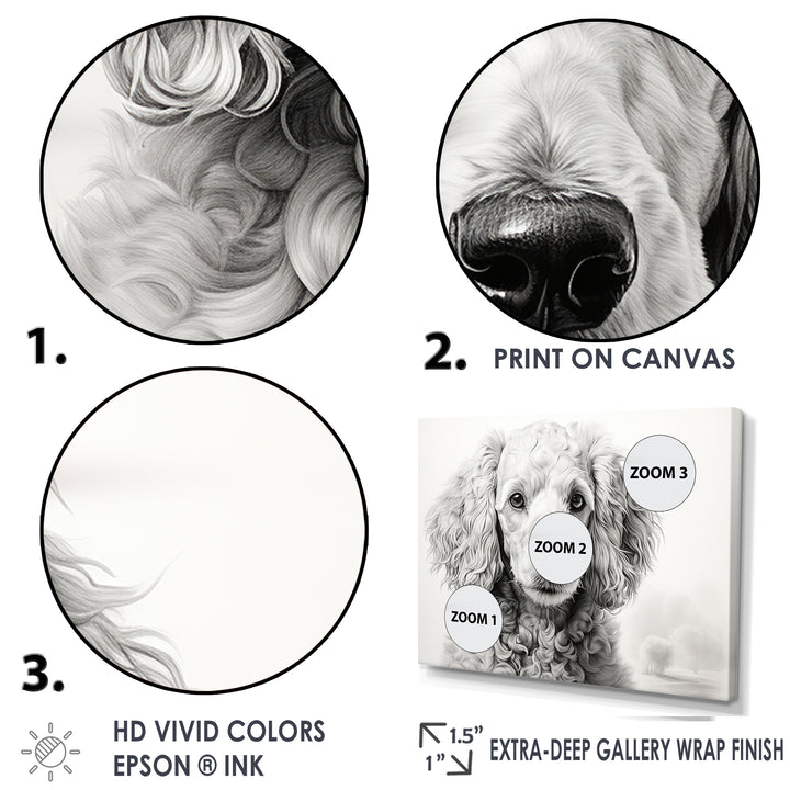 Poodle Pizazz - Dog Wall Art Prints
