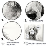 Poodle Pizazz - Dog Wall Art Prints