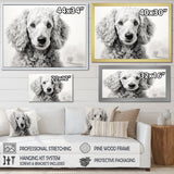 Poodle Pizazz - Dog Wall Art Prints