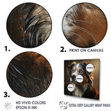 Saint Bernard Serenity - Dog Wall Decor