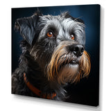 Portrait Schnauzer Sophistication - Black Dog Wall Art