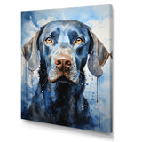 Dog Weimaraner Majestic Portrait - Dog Bedroom Wall Art